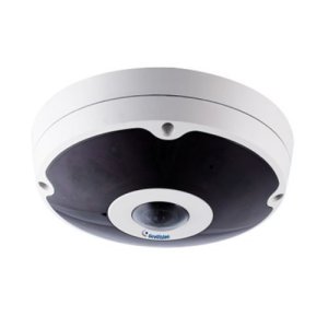 12MP H.265 Low Lux WDR IR Fisheye Rugged IP Camera