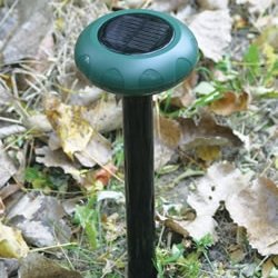 STI-34100 Wireless Driveway Monitor (Solar Powered)