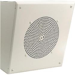 AMBSL1 8" Metal Box Speaker with Internal 1W Amplifier (Angled) 