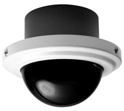 IS150-CHV9X PEL ENVMT CEILING 3-9MM PAL