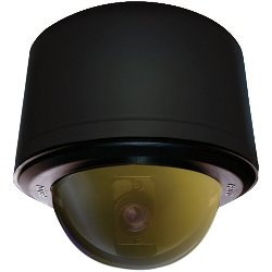 SD4N35-PB-3 Spectra® IV IP Pnd Blk Gold D/N 35X