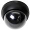 COP-CCTV Color CCD Dome Camera with 3.5-8mm Lens