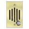 IU-0222C Channel Vision IU SERIES DOOR STATION POLISHED BRASS