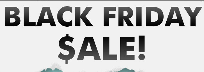 Black Friday Sale