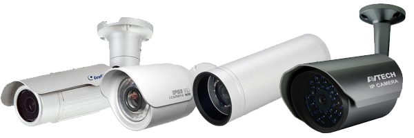 IP Cameras