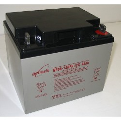 NP38-12BFR 12 Volt/38 Amp Hour Sealed Lead Acid Battery with Nut & Bolt Terminal, Flame Retardant Case