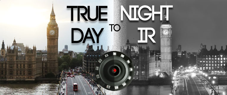 true day and night