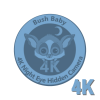 BUSH BABY NIGHT VISION WI-FI 4K HD CUSTOM CAMERAS