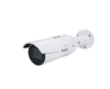 IP Bullet Cameras