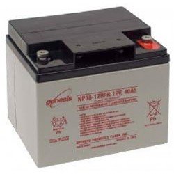 NP38-12RFR 12 Volt/38 Amp Hour Sealed Lead Acid Battery with 10/32 Receptacle Terminal, Flame Retardant Case