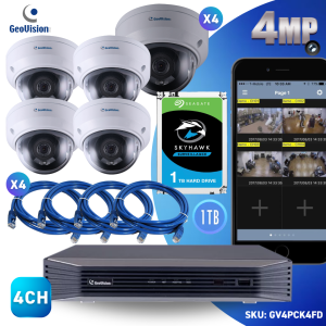 4CH 4 PoE NVR & 4 HD Megapixel Night Vision Outdoor Mini Dome IP Security Camera Kit