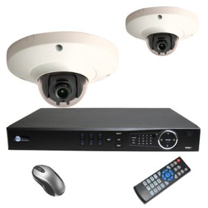 2 HD 1.3 Megapixel Dome NVR System for Business Professional Grade