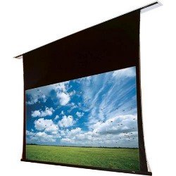 102178L Draper Access/Series V Motorized Front Projection Screen (60 x 80"), 100" Diagonal, with Low Voltage Controller