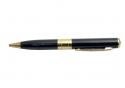 DIGITAL VIDEO PEN - FREE 2GB MICROSD