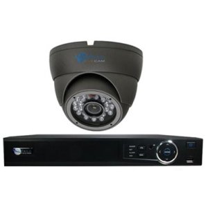 1 Dome IR Security DVR Kit for Business Commercial Grade