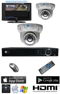 2 Dome IR Night Vision Security Camera DVR System IMAX-DM600-2CH-KIT