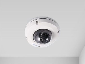 1.3MP H.264 Low Lux WDR IR Mini Fixed Rugged IP Dome