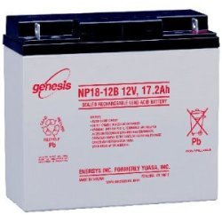 NP18-12B 12 Volt 17.2 Ah Sealed Rechargeable, Non- Spillable Lead-Acid Battery with Bolt Connectors