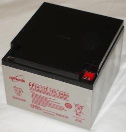 NP24-12T 12 Volt/24 Amp Hour Sealed Lead Acid Battery with 0.250 Fast-on Connector