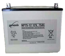 NP75-12 12 Volt/77.5 Amp Hour Sealed Lead Acid Battery with Nut & Bolt Terminal