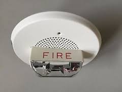 WHEELOCK MT-24-LSM-VFW WHITE