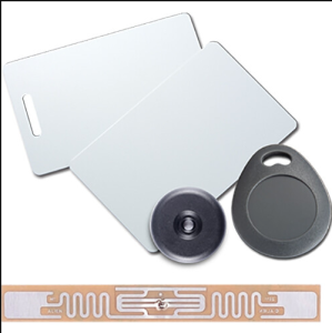 GV-AS RFID Tag	GV-AS RFID key fob, Desfire EV3