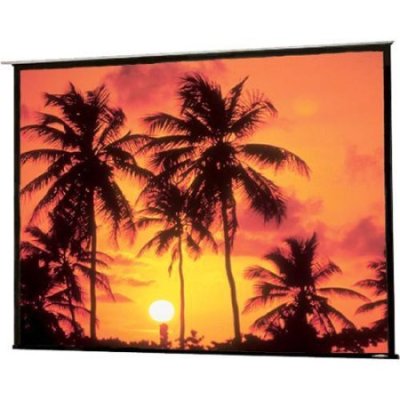 104002 Draper Access/Series E Motorized Front Projection Screen (60 x 60")