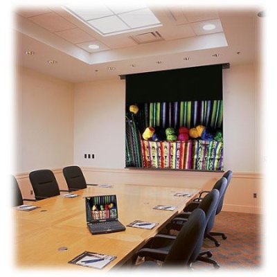 113002 Draper Ambassador Motorized Projection Screen (60 x 60")