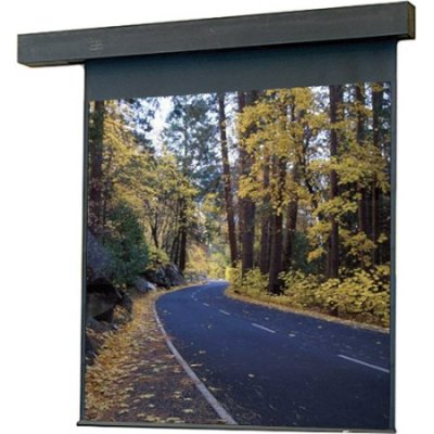 115012 Draper Rolleramic Motorized Projection Screen (144" x 144")
