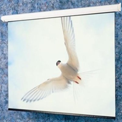 116344 Draper Targa Electric Projection Screen 106" x 188", Matt White