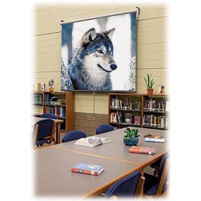 207006 Draper Luma Manual Projection Screen 96" x 96", Matt White XT1000E