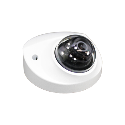 8CH NVR & 4 HD Megapixel Lite AI IR Fixed Focal Mini Dome Network Security Camera Kit