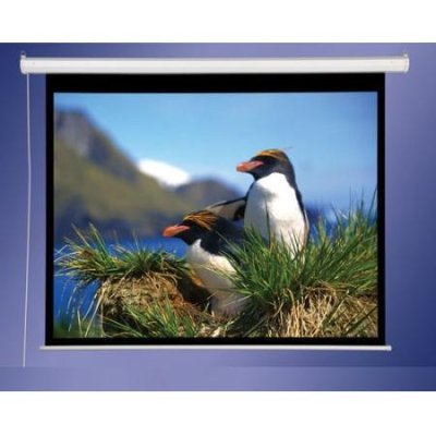 800001 Draper AccuScreens Electric Screen 49" x 87"