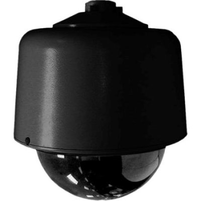 DF8-PB-1 8 in. Fixed Mt Clr Blk Pend No Camera