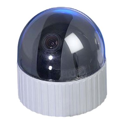 Motorized Pan Tilt Color Dome Camera with 3x Digital Zoom