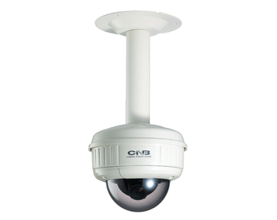 WECV1960PVD 1/3" High Sensitivity CCD 2.8~10.5mm Lens Outdoor Vandal Resistant 550TVL