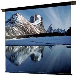 113002 Draper Ambassador Motorized Projection Screen (60 x 60")