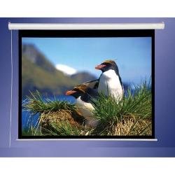 800001 Draper AccuScreens Electric Screen 49" x 87"