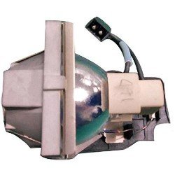 9E.0C101.011 BenQ Projector Lamp for SP920 Projector