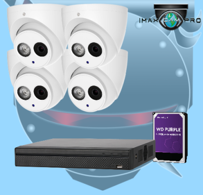 4CH IMAX NVR & Ninja 8MP IR Eyeball 4 IP Cam Kit