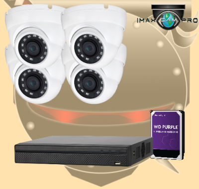 4CH IMAX NVR & Ninja 5MP WDR IR Eyeball 4 IP Cam Kit