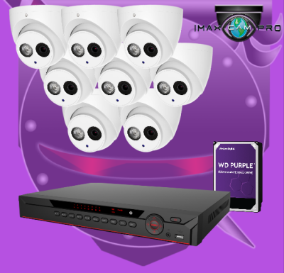 8CH 1U IMAX NVR & Ninja 4K 8MP IR Eyeball 8 IP Cam Kit