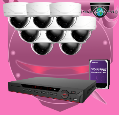 8CH 1U IMAX NVR & Ninja 4K 8MP IR Mini-Dome 8 IP Cam Kit