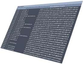 Video Encoder Encryption License, 128-Bit