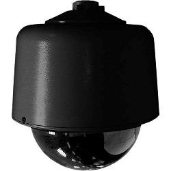 DF8-PB-1 8 in. Fixed Mt Clr Blk Pend No Camera
