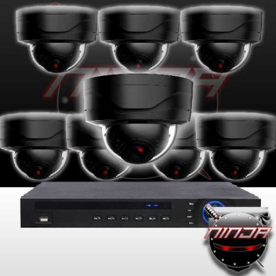 16CH IMAX NVR & Ninja 4 Megapixel IP Mini Dome Camera 8 Cam Kit