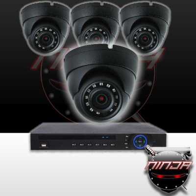 8CH IMAX NVR & Ninja 4 Megapixel IP Eyeball Dome Camera 4 Cam Kit