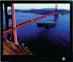 PMCL317 - 17" Flat Panel LCD Monitor