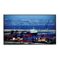 PMCL542NB 42 Inch Narrow Bezel LCD Monitor