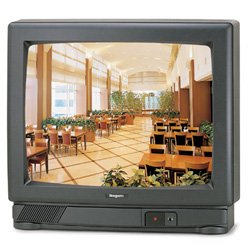 VCM-200A 20" Color Video Monitor With Audio